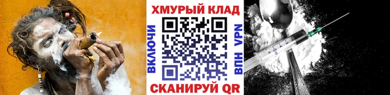 Героин хмурый  Кедровый 