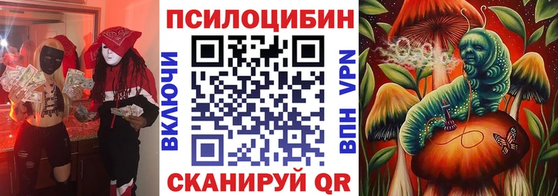 Псилоцибиновые грибы Psilocybe  Кедровый 